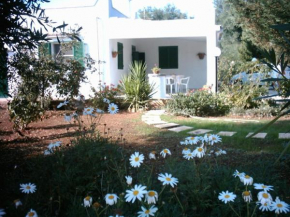 Villa Franca --sole-terra-mare--